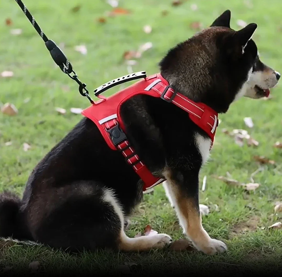 Soft Padded Pet Harness with Anti-Pull Handle